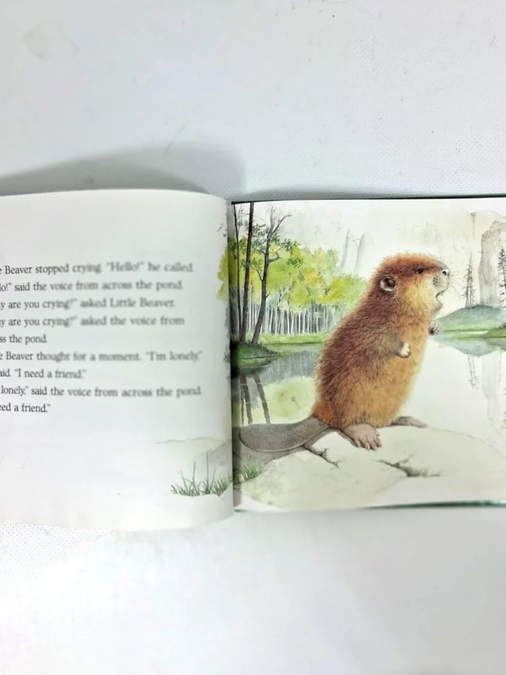 Little Beaver and The Echo by Amy MacDonald, Children's Book, 90s Y2K